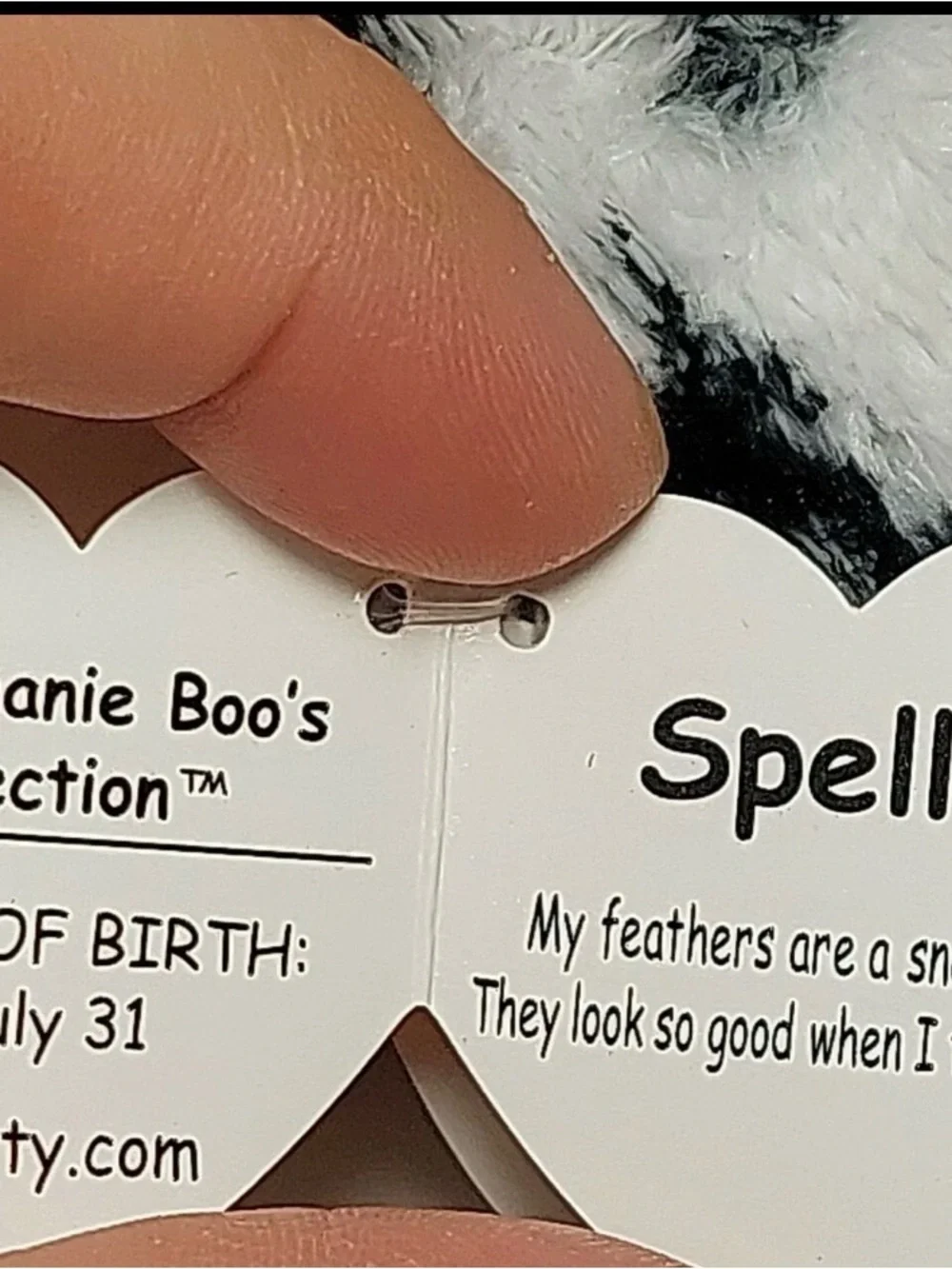 Ty Beanie Boos Spells the Snowy White Owl 6